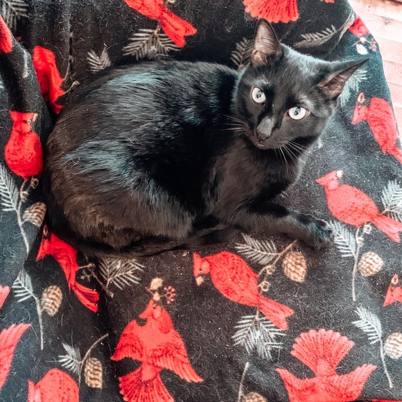 Meet Your Seller :) - Picture 6 of 11